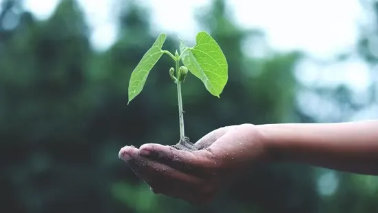 From waste to awareness: How students learn environmental responsibility
